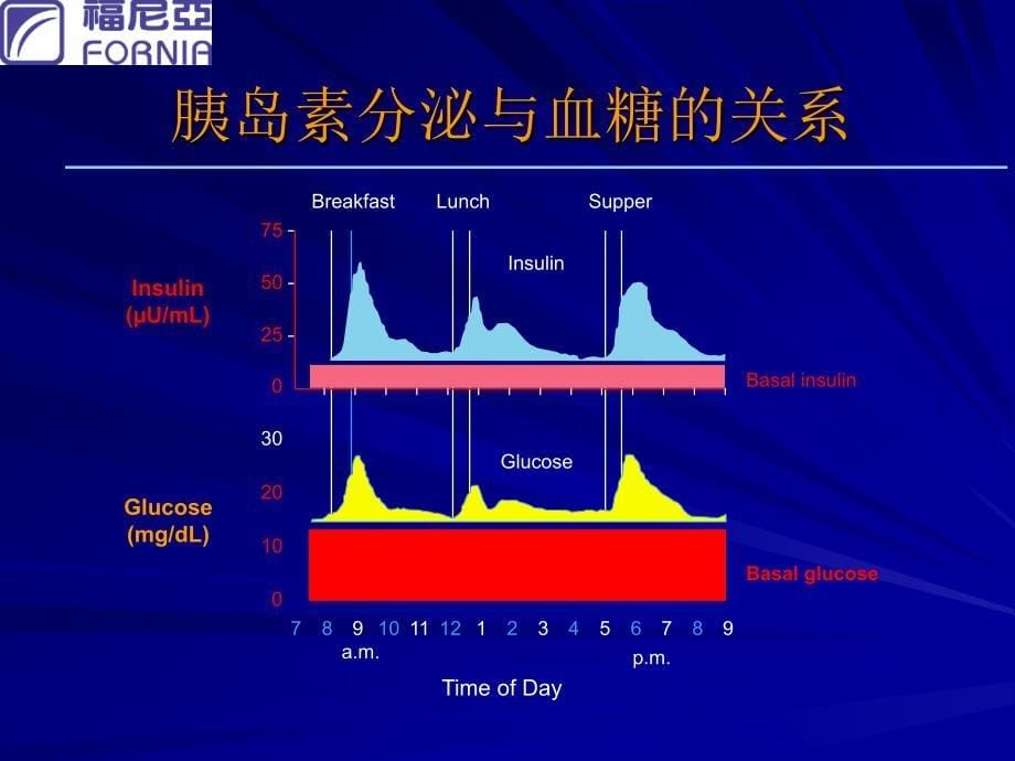 胰岛素泵资料定稿ppt课件.ppt_第5页