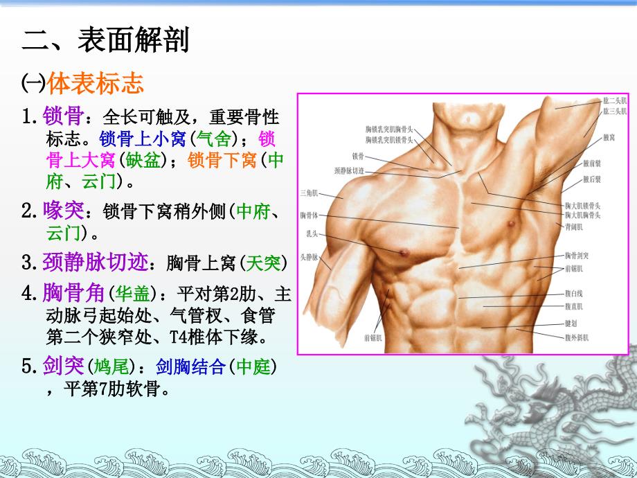 局部解剖03胸部1胸壁ppt课件_第4页