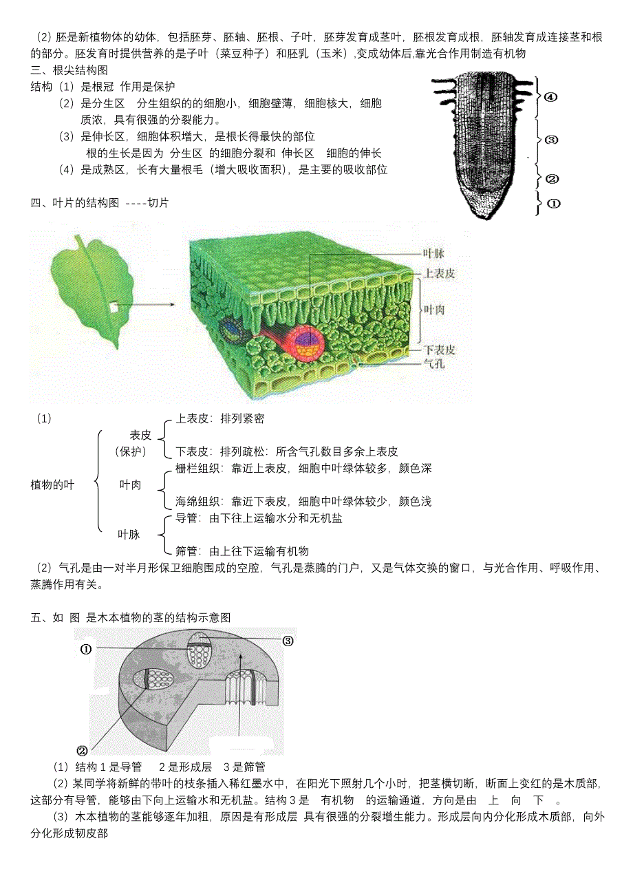 初中生物图形专题(终稿).doc_第2页