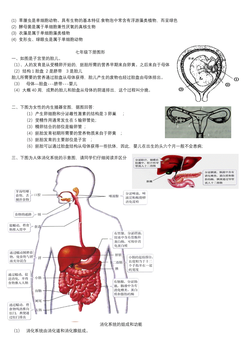 初中生物图形专题(终稿).doc_第4页