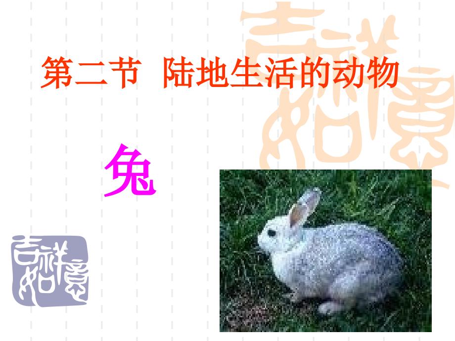 第二节陆地生活的动物——兔_第1页