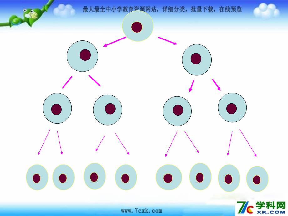 鲁教版学六上2.9有理数的乘方ppt课件3_第3页