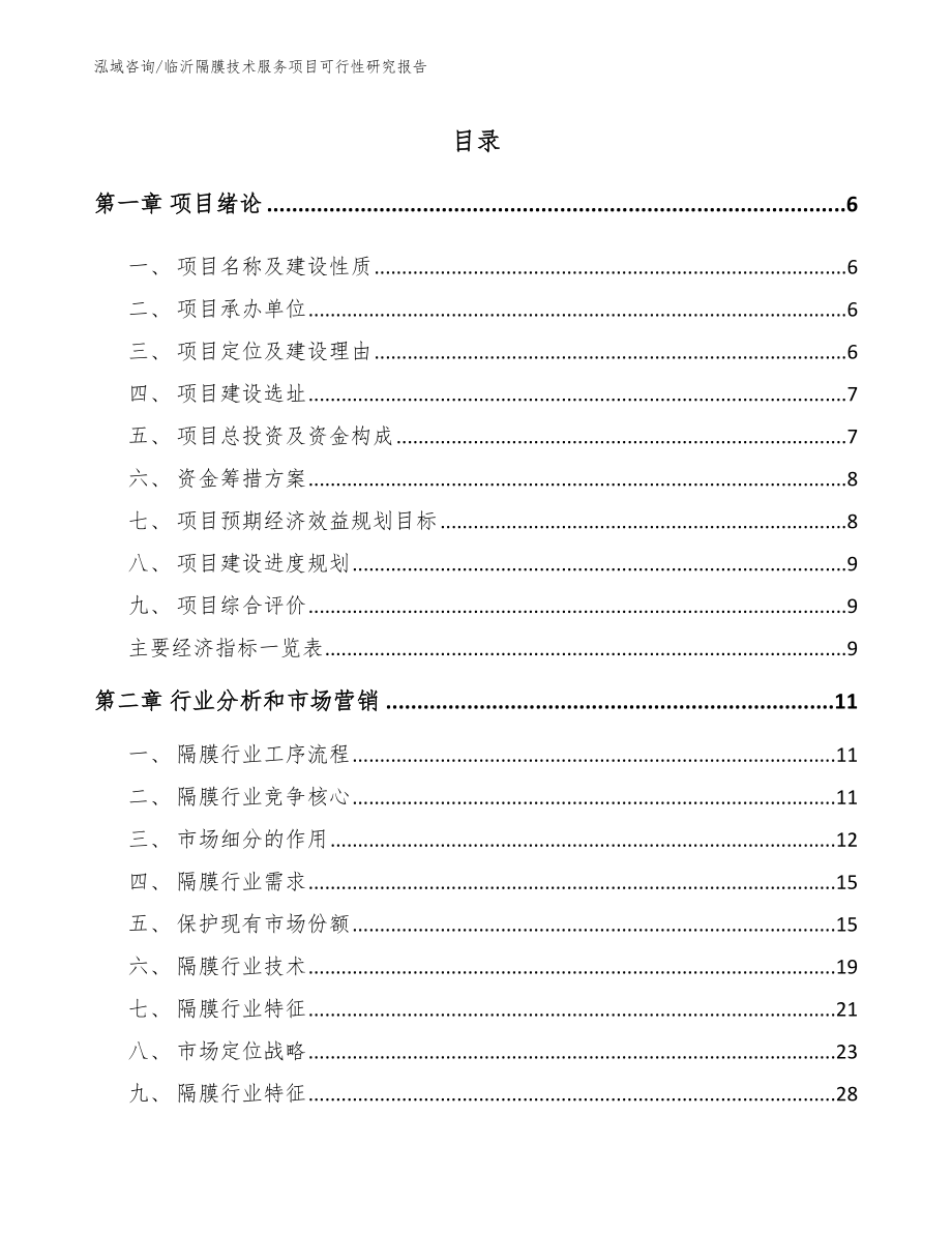 临沂隔膜技术服务项目可行性研究报告_参考模板_第1页