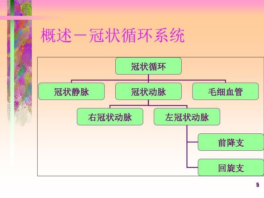 经皮冠状动脉介入治疗的护理_第5页