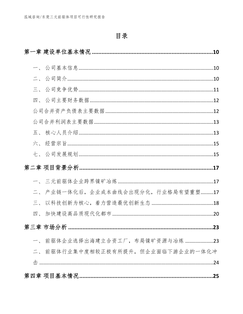 东莞三元前驱体项目可行性研究报告_第2页