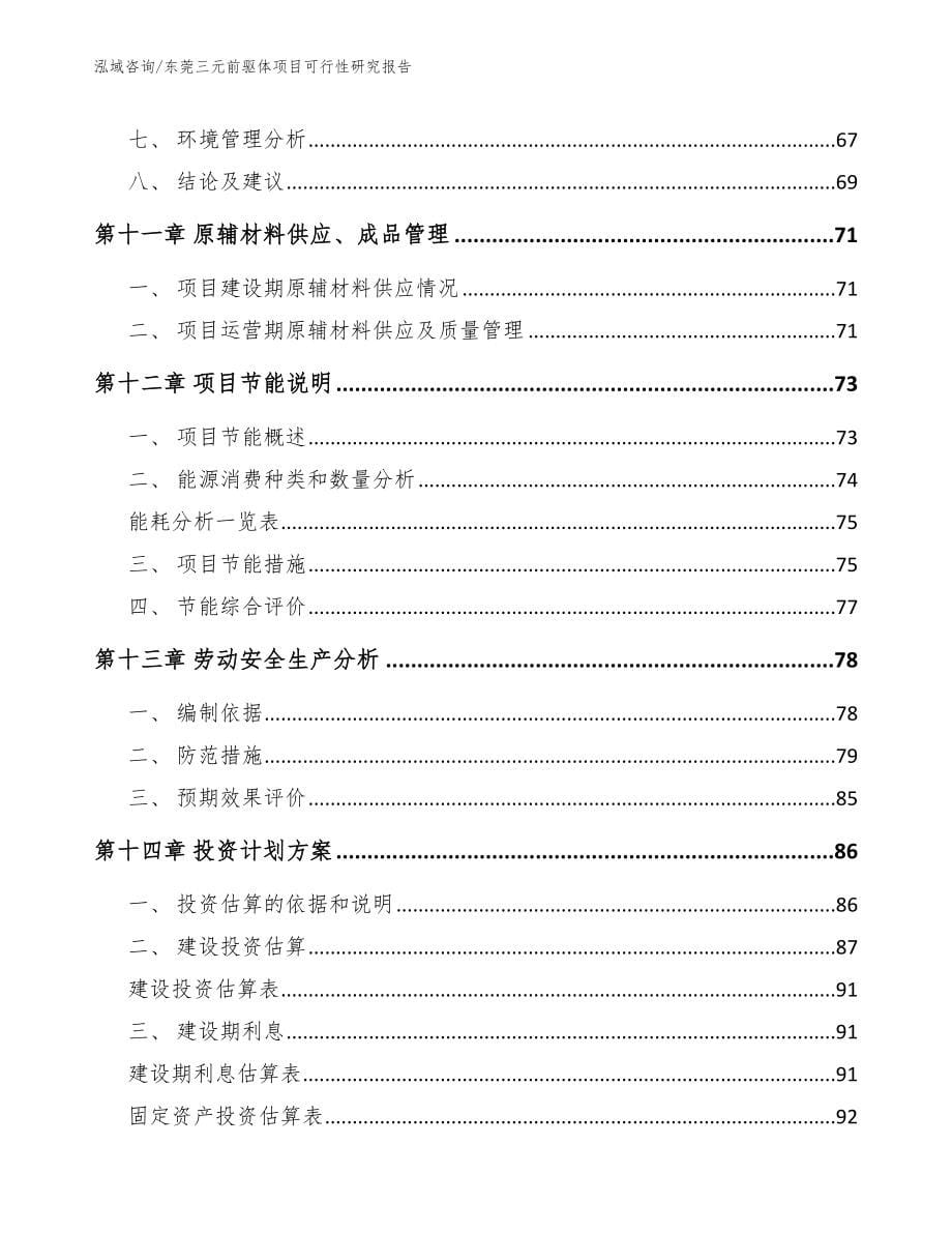 东莞三元前驱体项目可行性研究报告_第5页