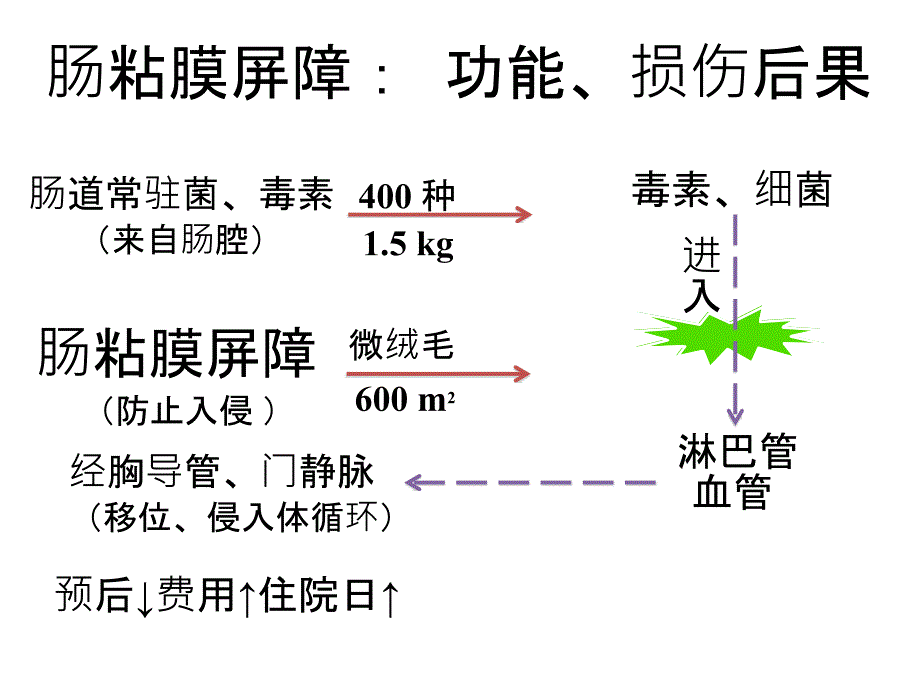 肠内营养支持EN的合理应用课件_第4页