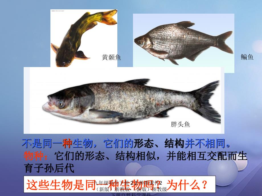 最新九年级科学下册2.2种群课件2新版浙教版新版浙教级下册自然科学课件_第3页