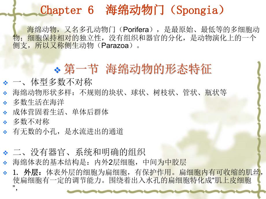 海洋生物学基础：Chapter 6海绵动物门（Spongia）_第1页