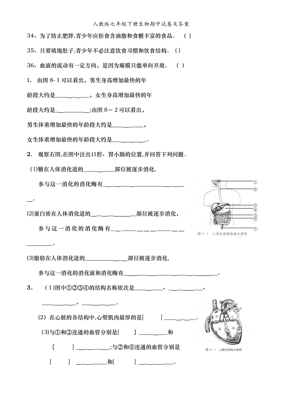 人教版七年级下册生物期中试卷及答案_第4页