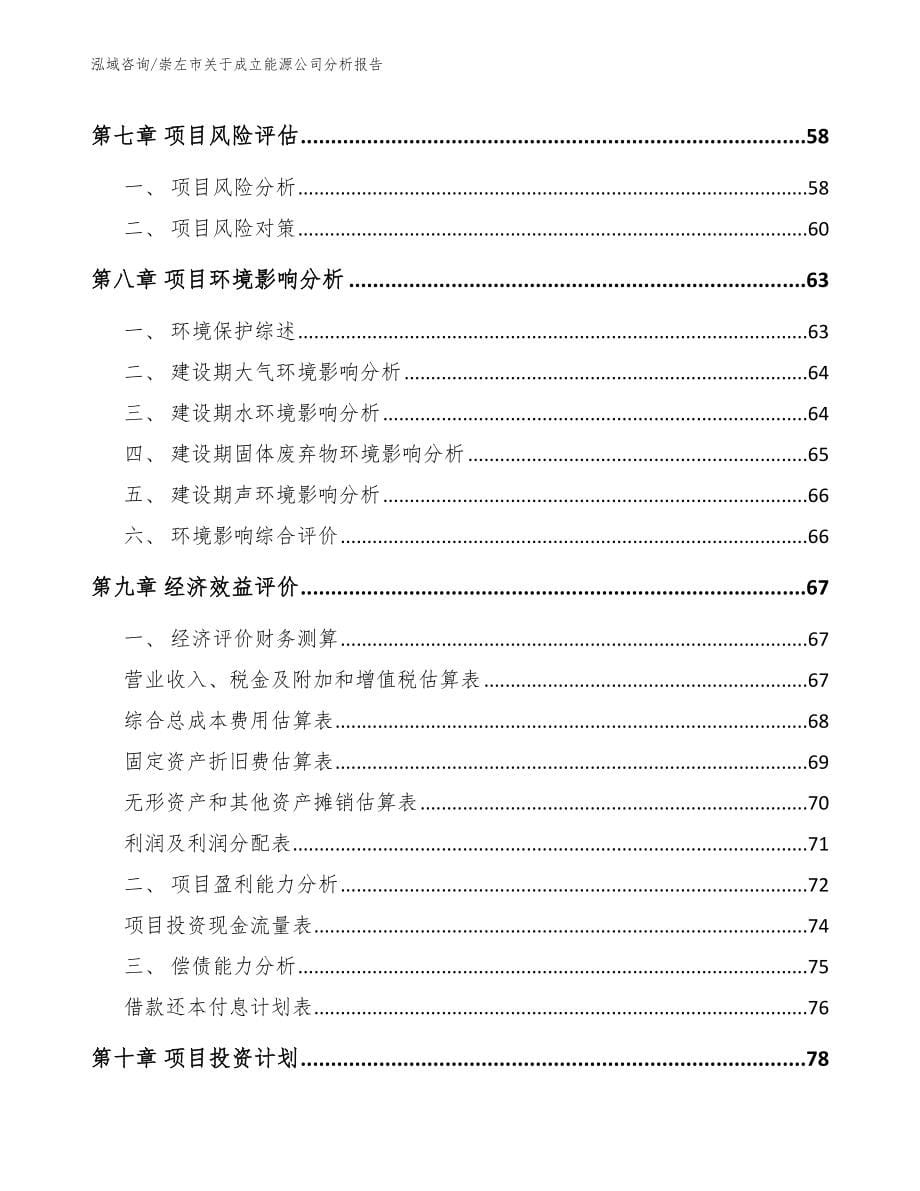 崇左市关于成立能源公司分析报告_第5页