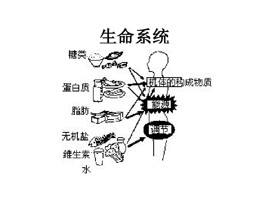 第1章第1节　细胞生活的环境yxg_第4页