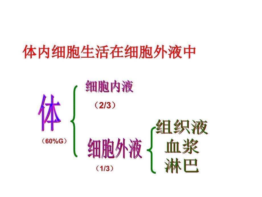 第1章第1节　细胞生活的环境yxg_第5页