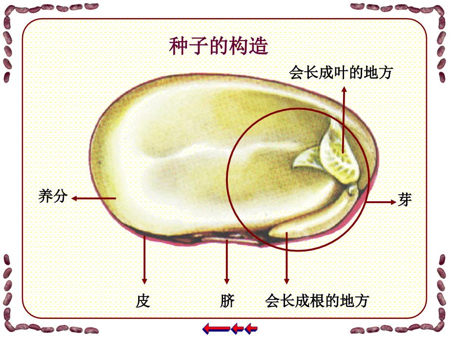 三年级美术第一课时课件_第3页