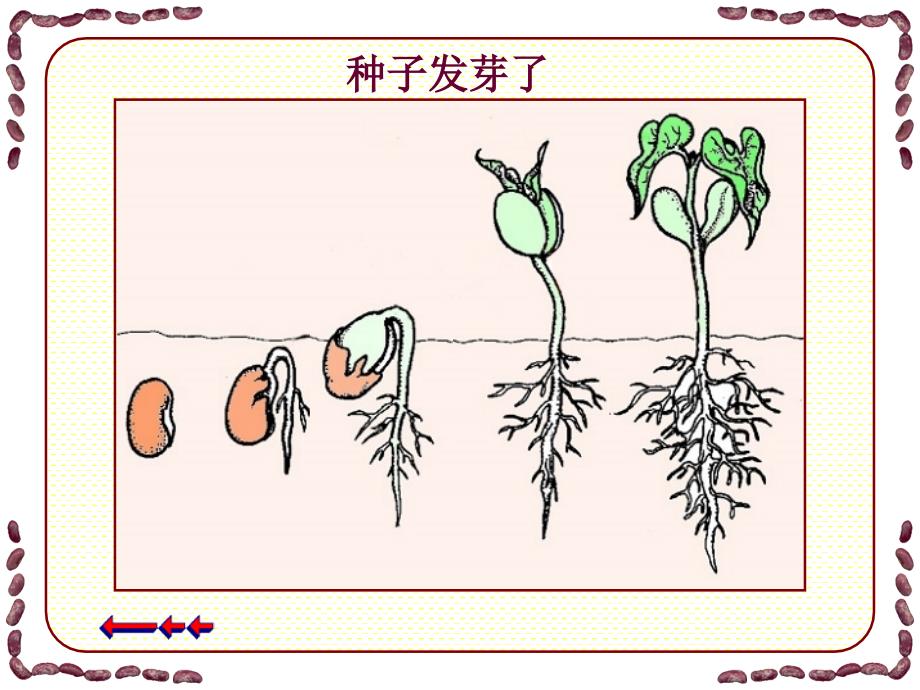 三年级美术第一课时课件_第4页