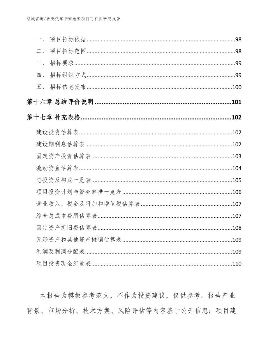 合肥汽车平衡悬架项目可行性研究报告_第5页