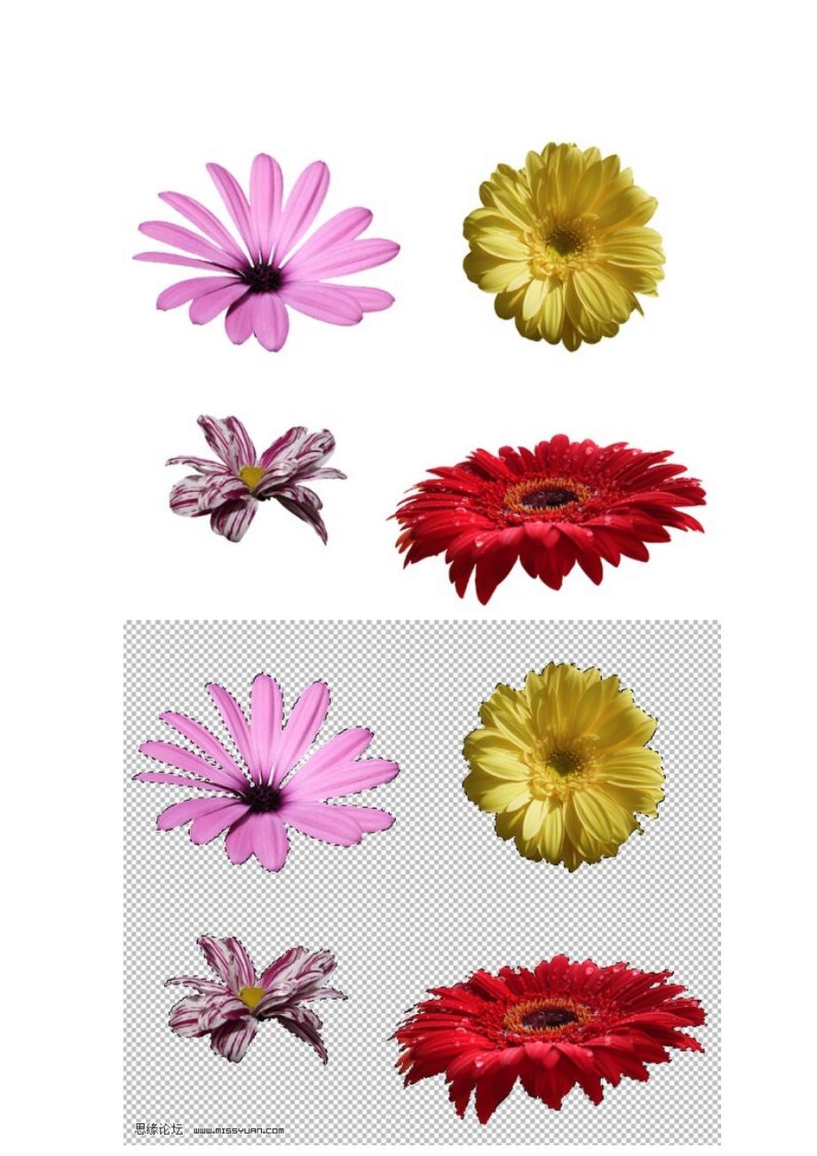 Photoshop技巧之制作超漂亮的花朵字.doc_第3页