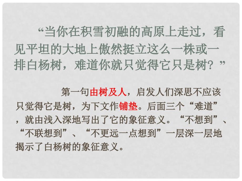 广东省乐昌市乐昌实验学校九年级语文上册 1《白杨礼赞》细节分析课件 语文版_第2页