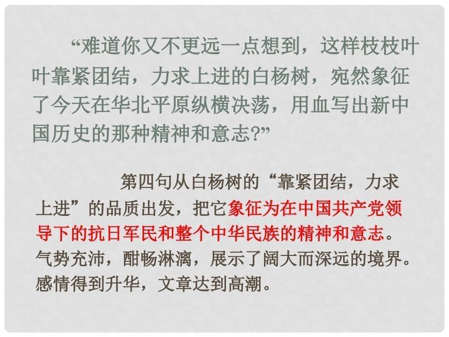 广东省乐昌市乐昌实验学校九年级语文上册 1《白杨礼赞》细节分析课件 语文版_第5页