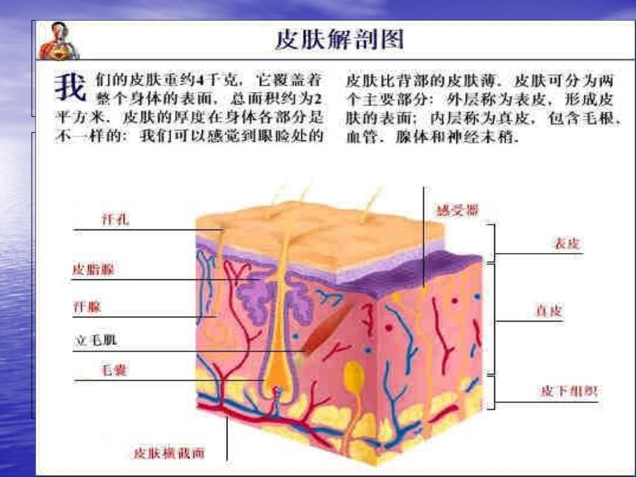 压疮的分期及护理_第3页