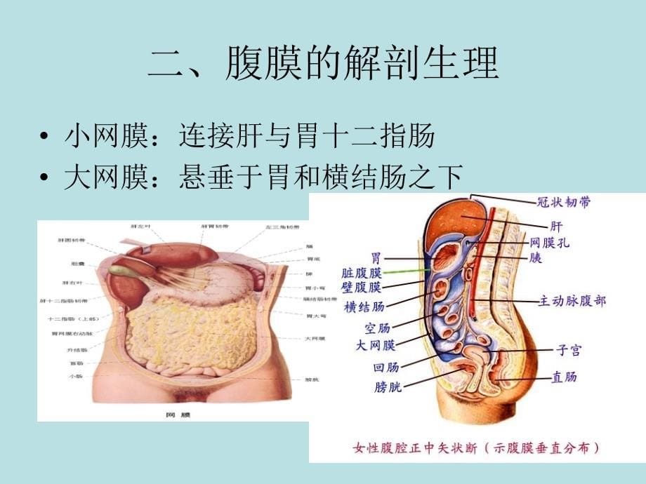 外科学急性腹膜炎_第5页