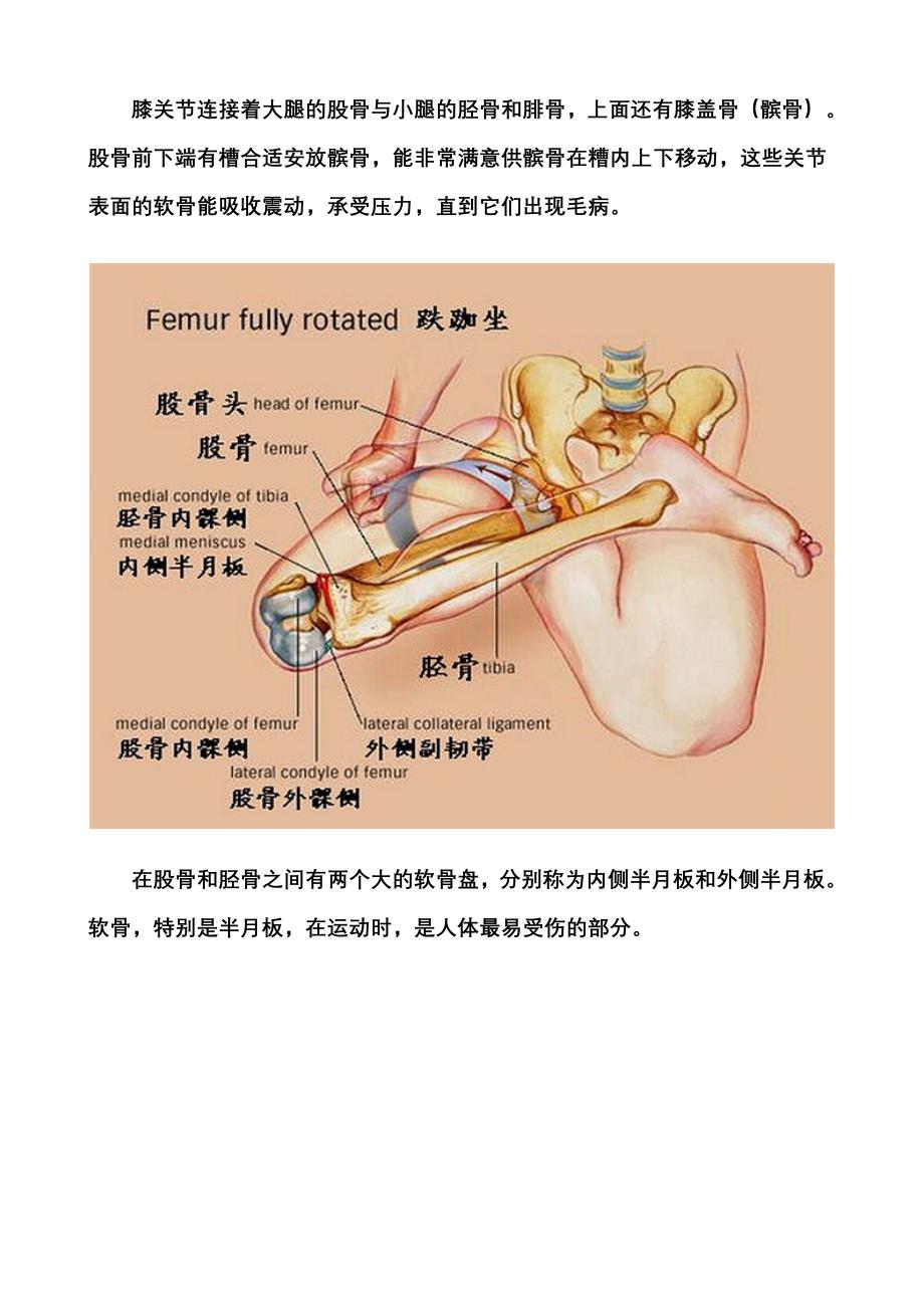 膝盖的养护(转载).doc_第2页