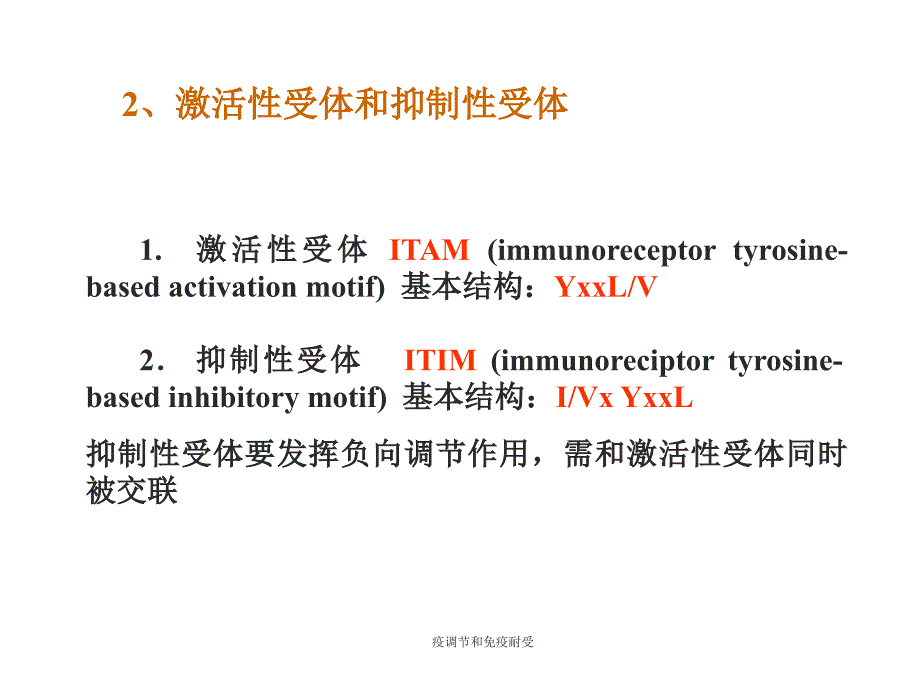 疫调节和免疫耐受课件_第3页