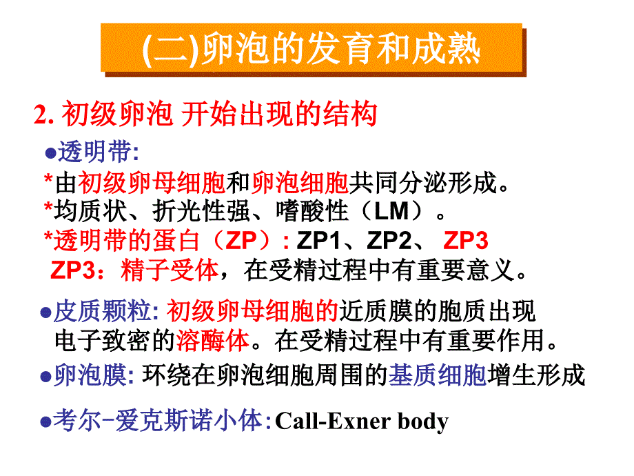 卵泡发育和卵泡成熟课件_第2页