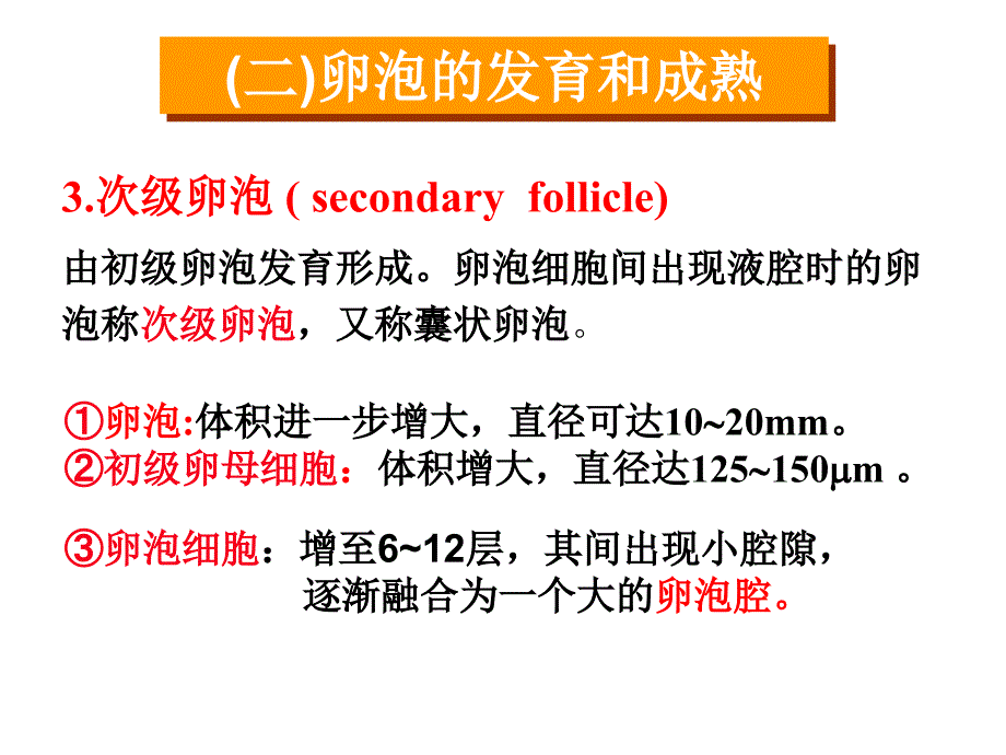 卵泡发育和卵泡成熟课件_第5页