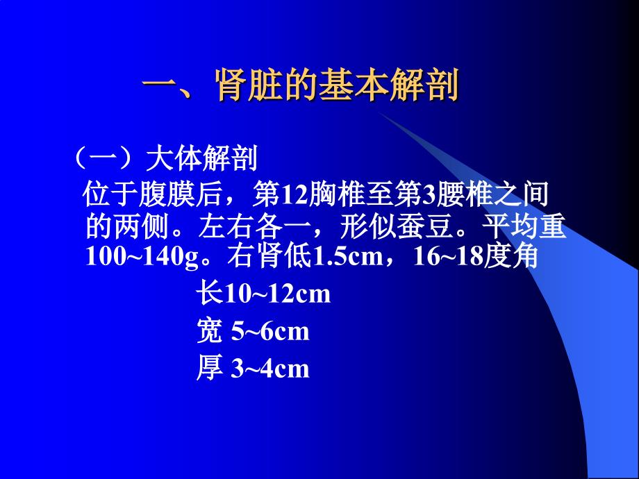 肾解剖生理(本)_第2页