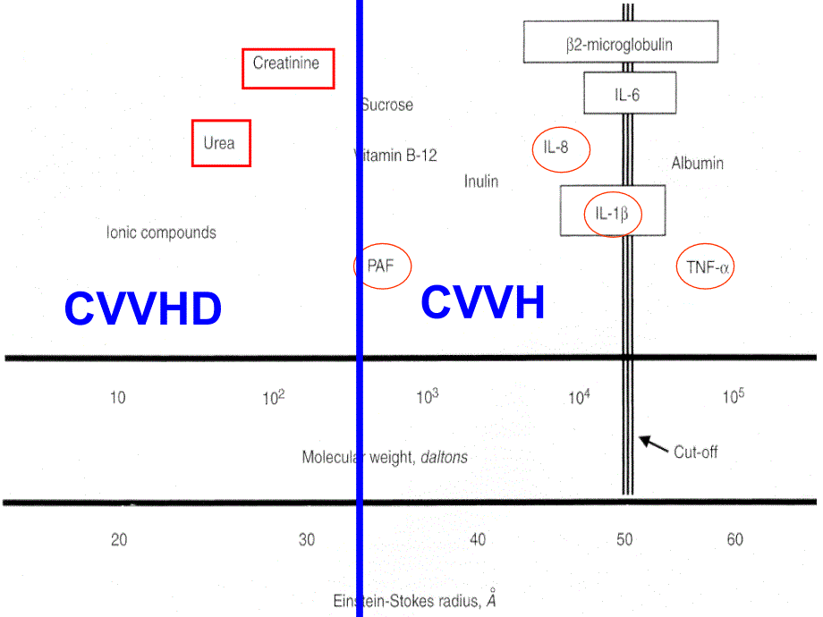 CRRT与中毒PPT课件_第4页