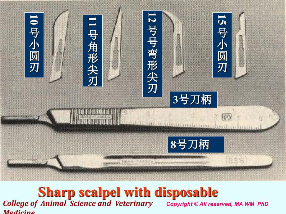 常用外科手术器械及其使用.ppt_第4页