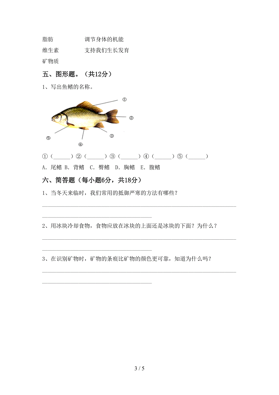 2022年四年级科学(上册)期中试卷及答案(今年).doc_第3页