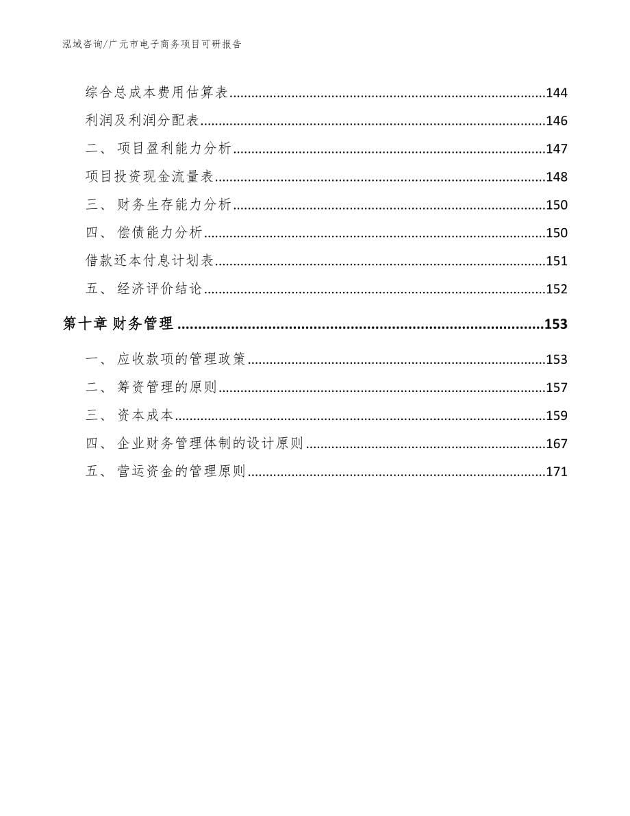 广元市电子商务项目可研报告（范文）_第5页