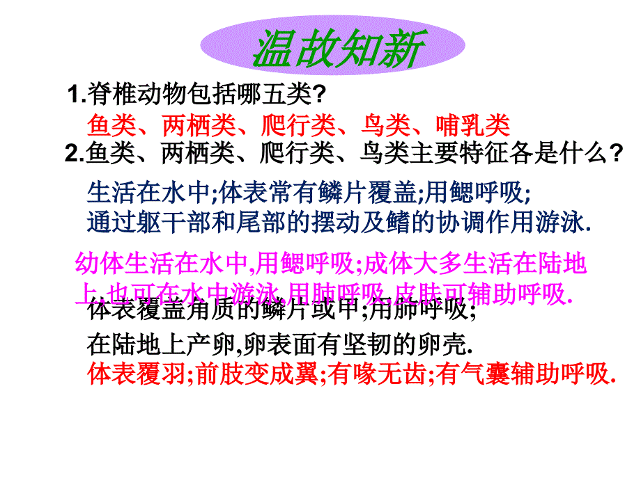 河北省人教版八年级生物上册-517哺乳动物-课件-(共30张)_第1页