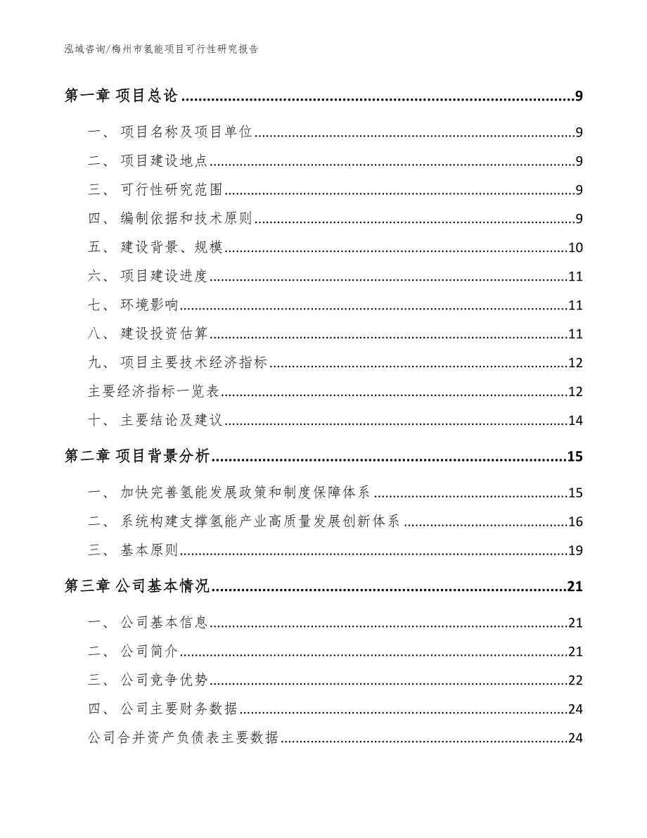 梅州市氢能项目可行性研究报告【范文参考】_第3页