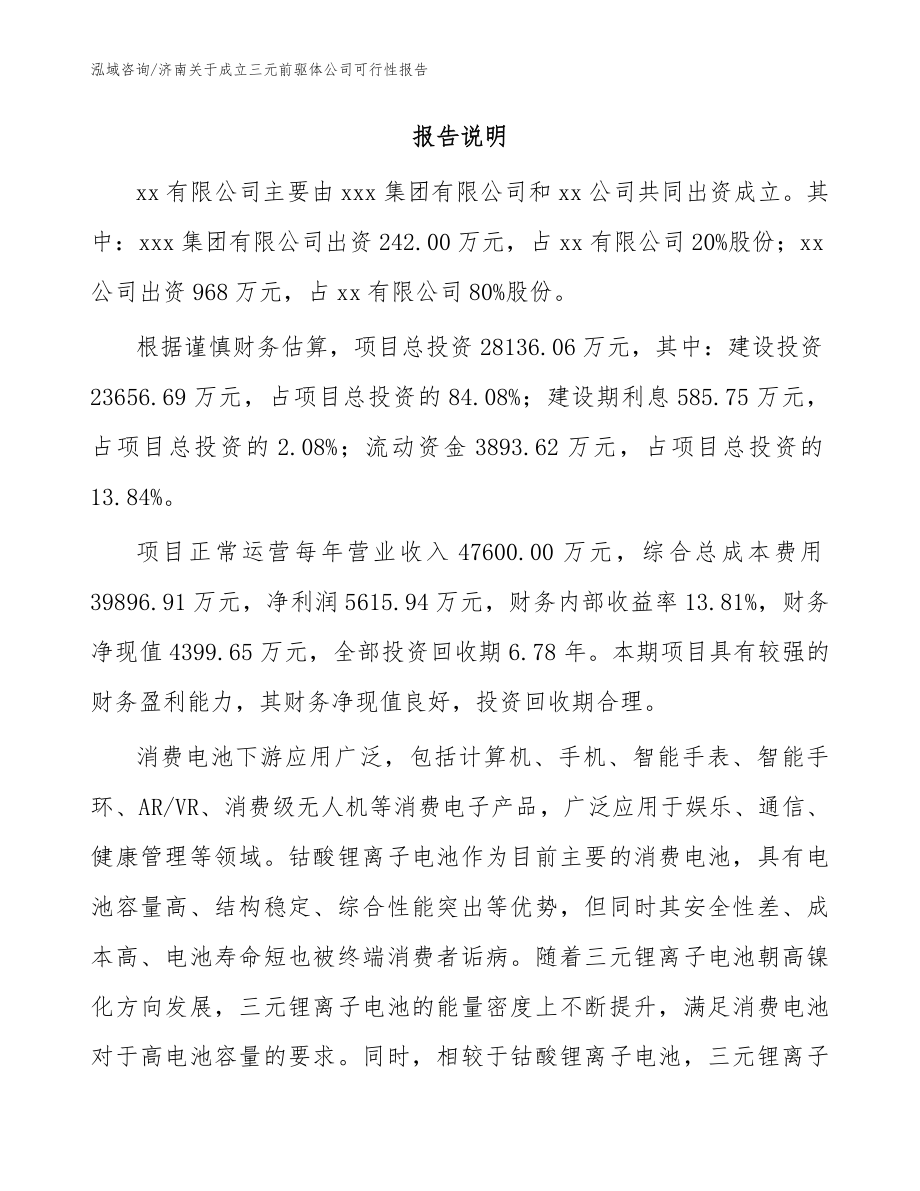 济南关于成立三元前驱体公司可行性报告参考模板_第2页
