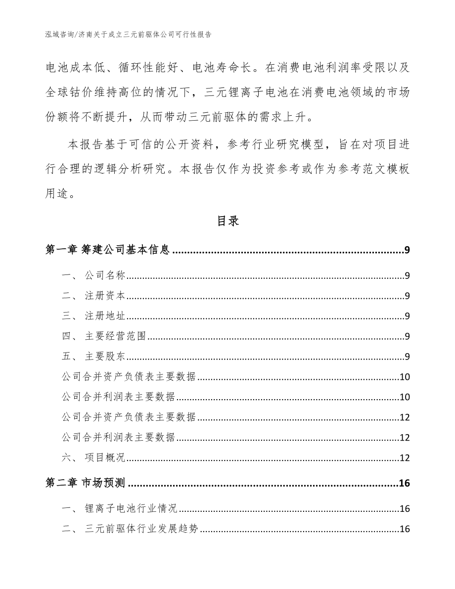济南关于成立三元前驱体公司可行性报告参考模板_第3页