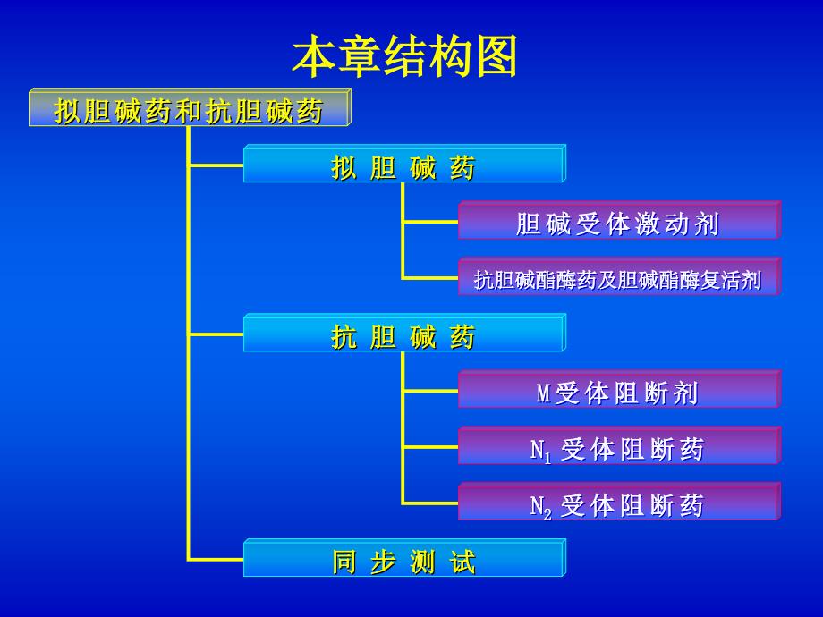 氢溴酸东莨菪碱.ppt_第4页