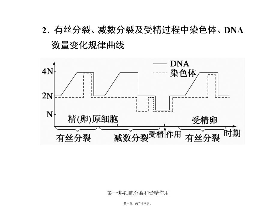 第一讲-细胞分裂和受精作用课件_第1页