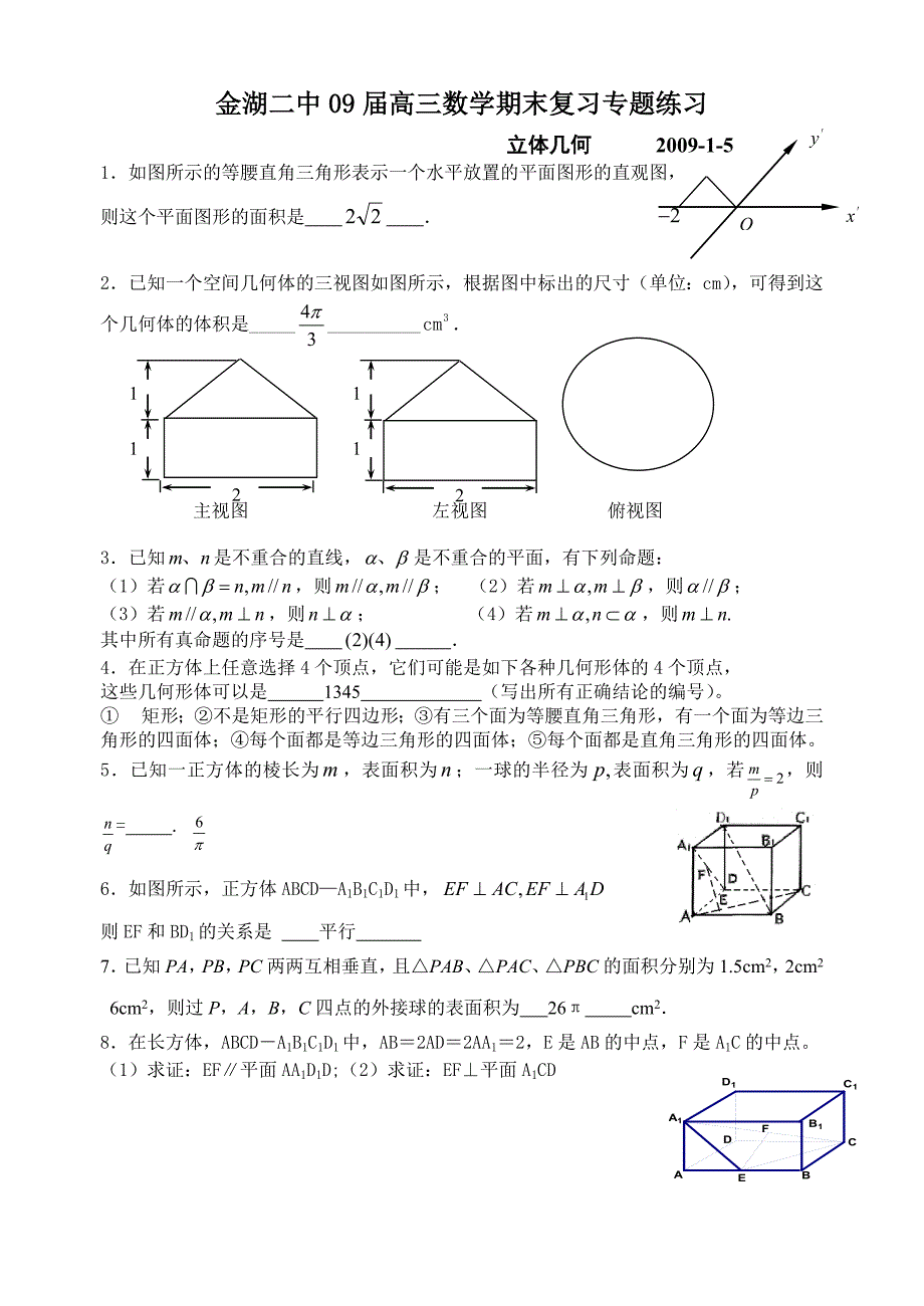 2教师用金湖二中09届高三数学期末复习专题练（立体几何）.doc_第1页