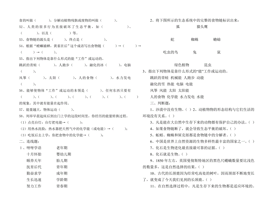 六年级下册复习试卷1_第3页