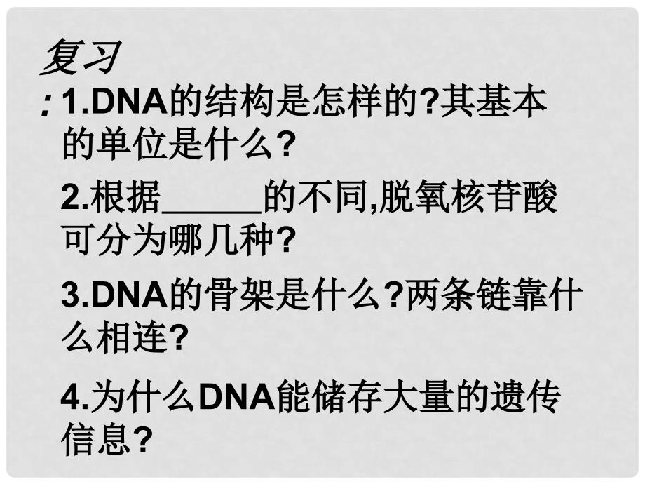 高三生物DNA的结构和复制课件_第2页