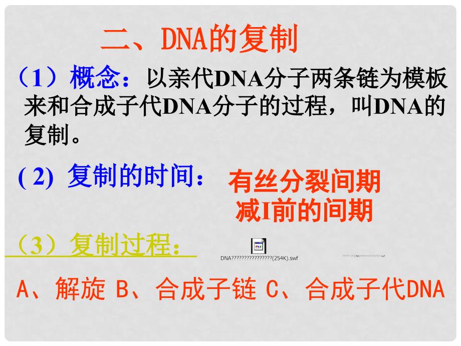 高三生物DNA的结构和复制课件_第3页