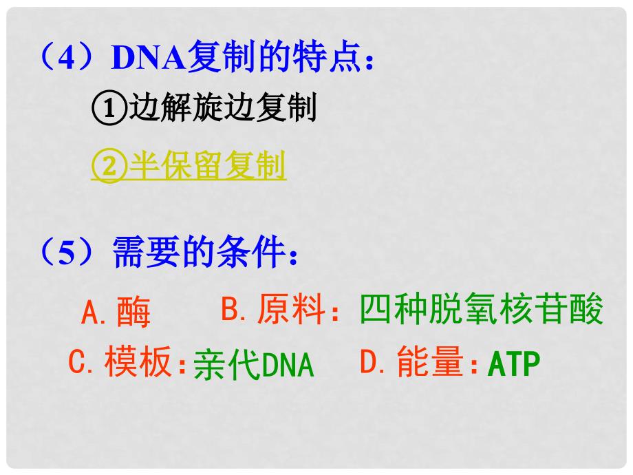 高三生物DNA的结构和复制课件_第4页