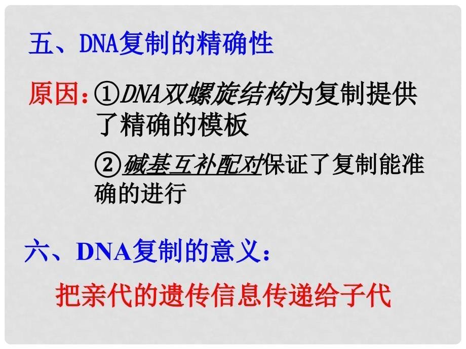 高三生物DNA的结构和复制课件_第5页