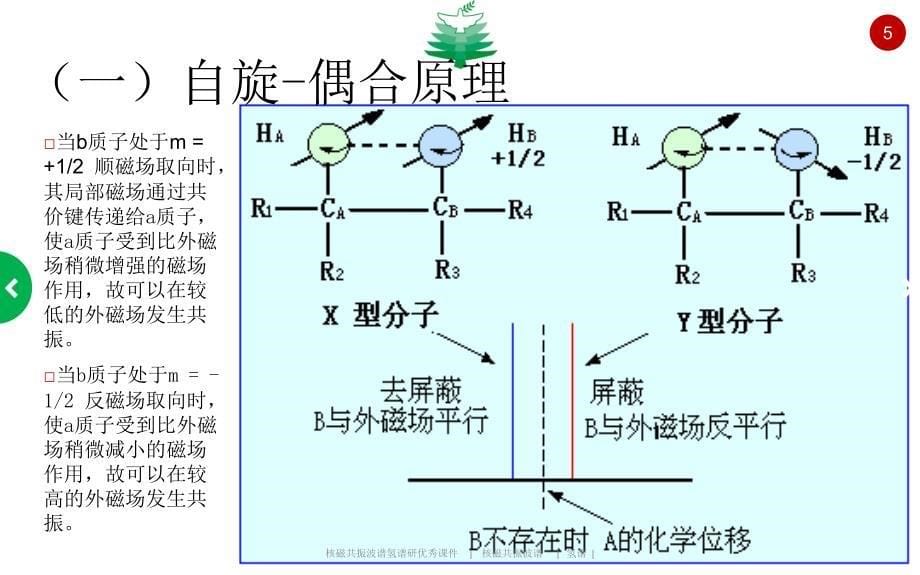 核磁共振波谱氢谱研优秀课件_第5页