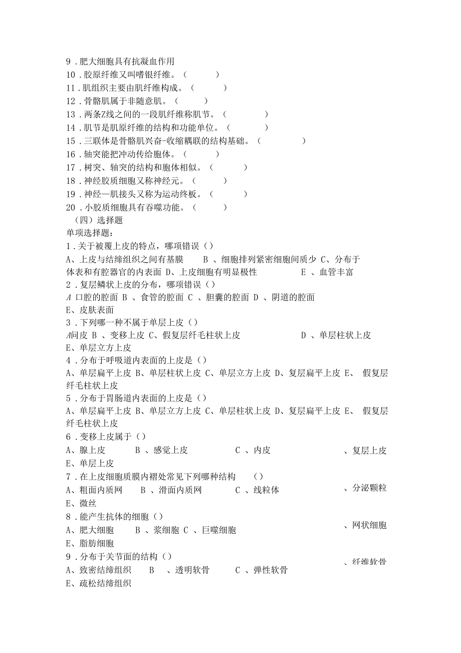 基本组织--人体结构学_第4页