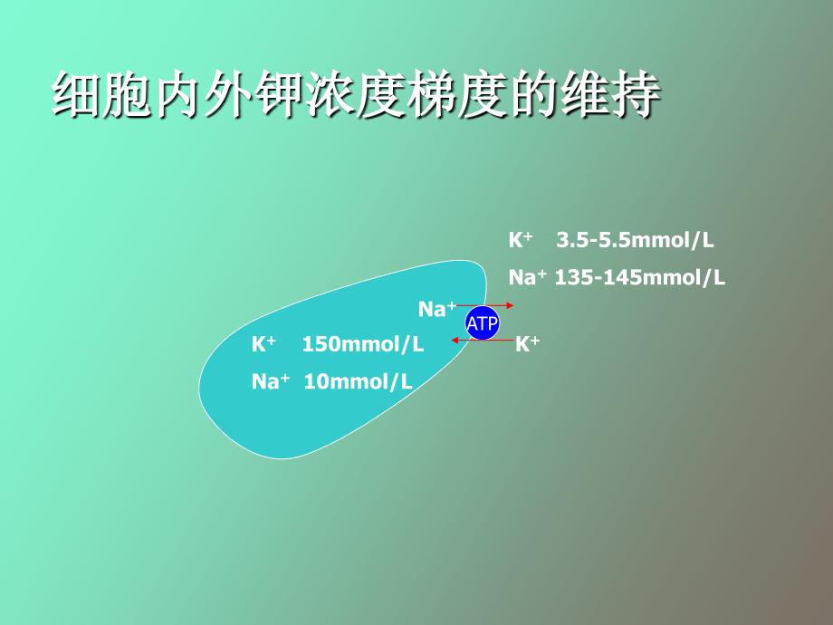 低钾血症的鉴别诊断_第3页