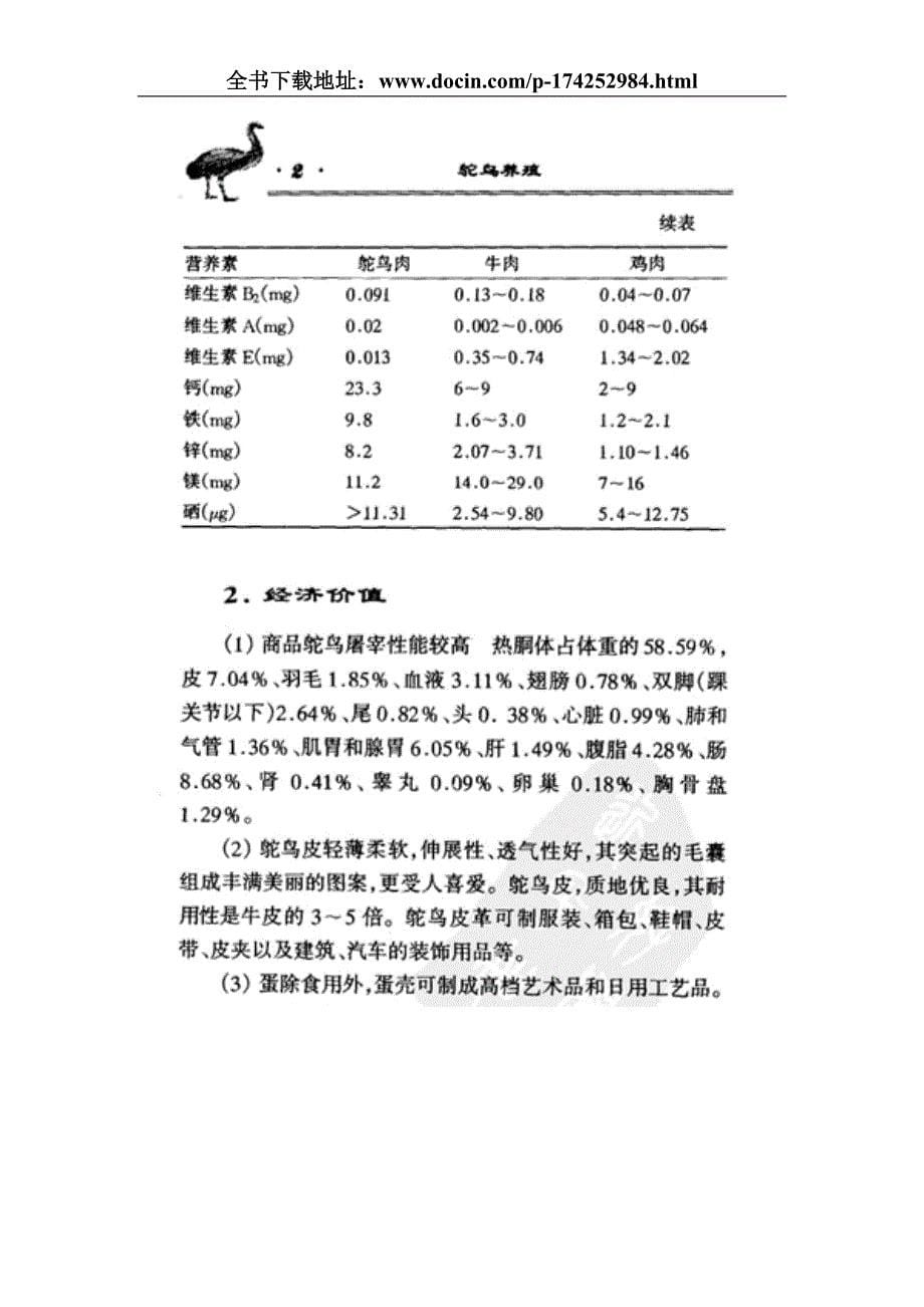 鸵鸟养殖技术资料大全.doc_第5页